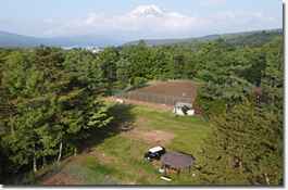 山梨の富士山麓の山中湖にあるオートキャンプ場「オートキャンプ山中湖」に芝生エリアができました。